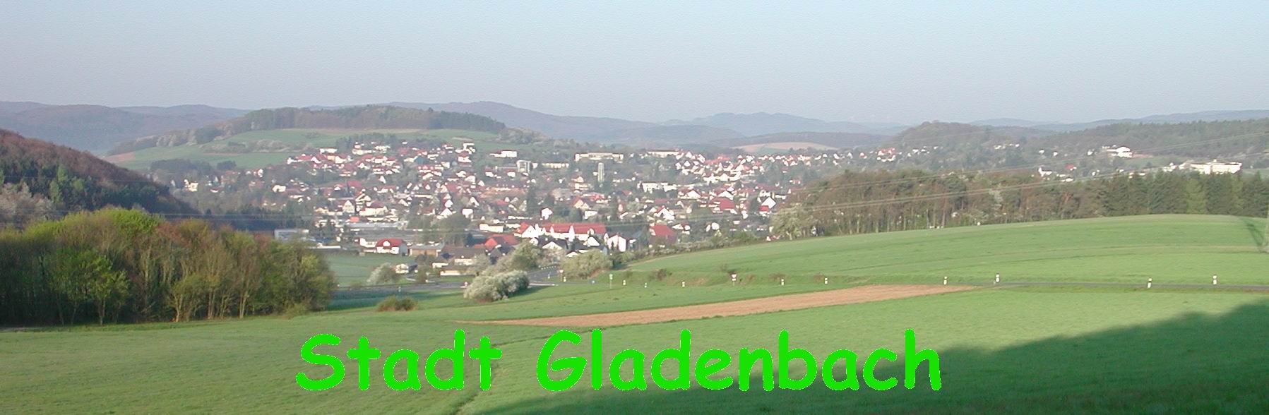 Panorama von Gladenbach